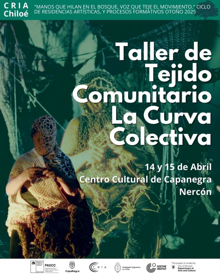 taller Aracne 1